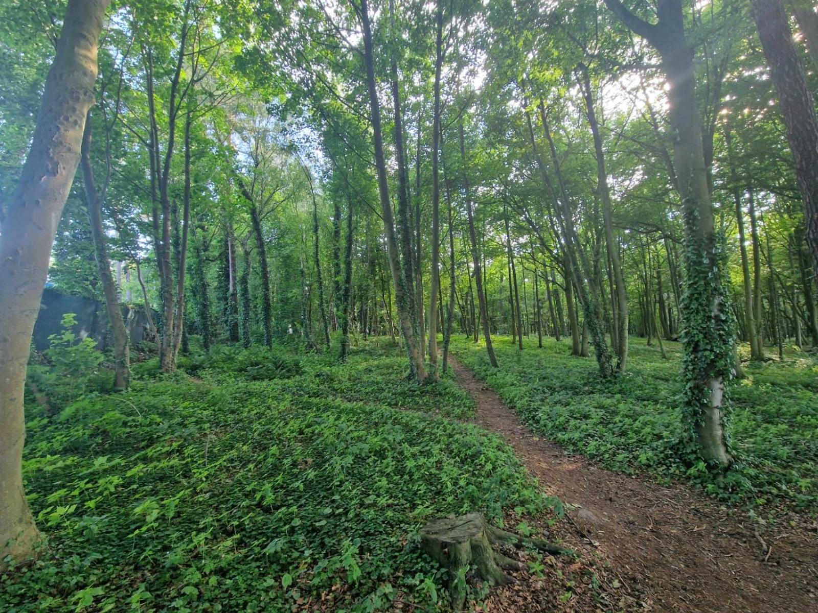 Osrodek Promenada- Faleza Jastrzebia Gora Exterior foto