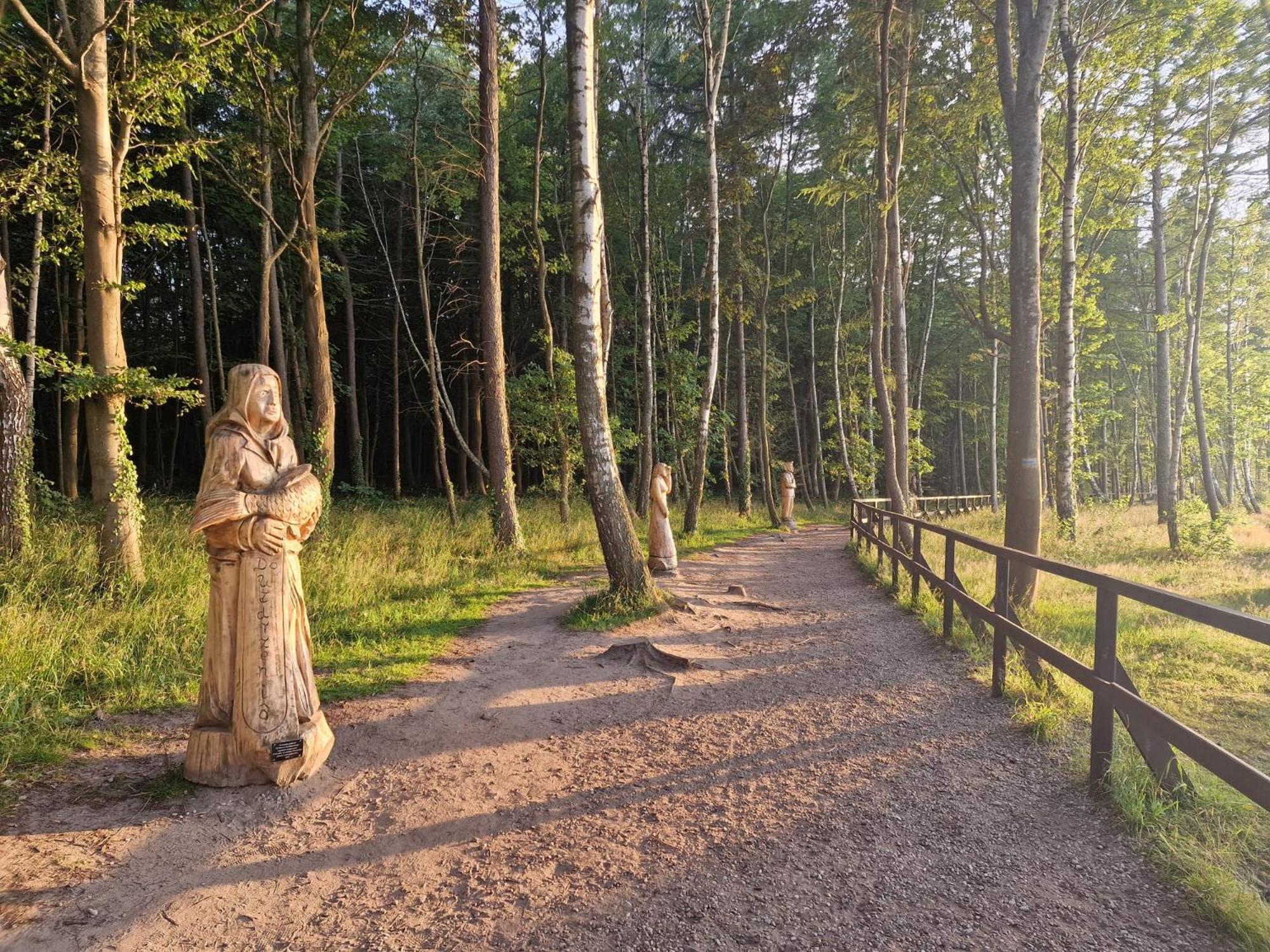 Osrodek Promenada- Faleza Jastrzebia Gora Exterior foto